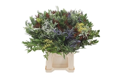 Decogroen Ov Bs 55cm