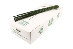 Equisetum Rush Bs 75cm