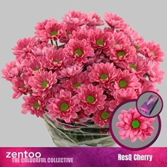 Chr T Resq Cherry 70cm 90gram