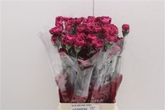 Di St Nob Blac Heart