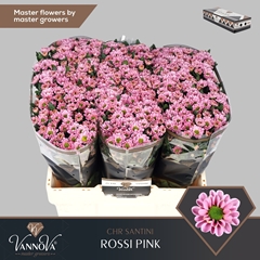 Chr San Rossi Pink 55cm 110g