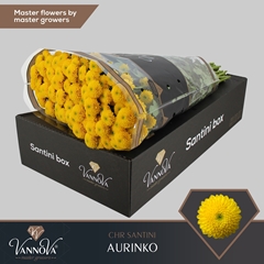Chr San Aaa Aurinko 55cm 110g