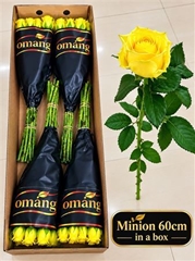R Gr Minion Rose 60cm 4,5cm