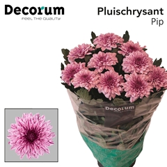 Chr G Pip 70cm 85gram