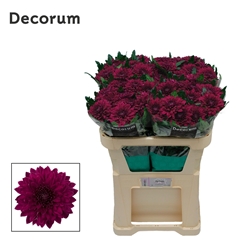 Chr G Other 70cm 80gram