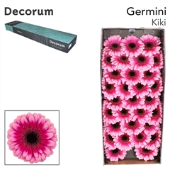 Germini Kiki 45cm 7cm Ø