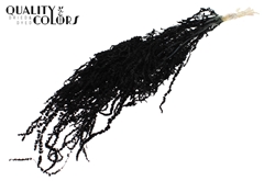 Hang Amar Pres. Black 70cm