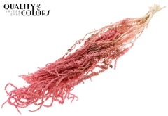Hang Amar Pres. Pink 70cm