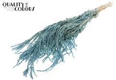 Hang Amar Pres. Li. Blue 70cm