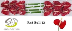 Anth A Red Bull 13cm Ø