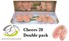 Anth A Cheers 15cm Ø