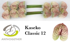 Anth A Kaseko Cl 13cm Ø