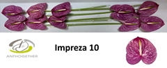 Anth A Impreza 15cm Ø