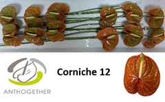 Anth A Corniche 13cm Ø