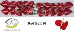 Anth A Red Bull 9cm Ø