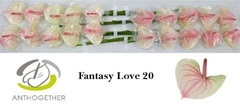 Anth A Fantasy Love 9cm Ø