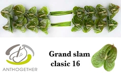 Anth A Grand Slam 11cm Ø