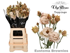 Eust G Alissa Brownies