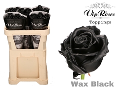 R Gr Wax Black X30 998