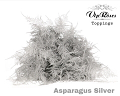 Asp Ov Extra Veren Silver