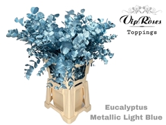 Euca Cinerea Metallic Light Blue 300GR