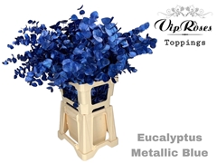 Euca Cinerea Metallic Blue 300GR
