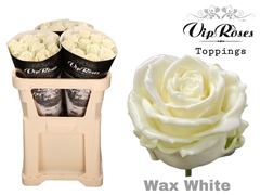 R Gr Wax White X30 998