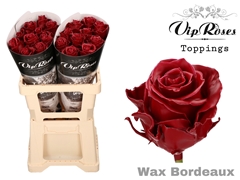 R Gr Wax Bordeaux (60CM)