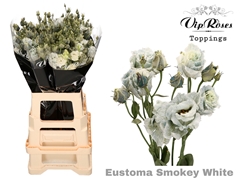 Eust G Alissa Smokey White