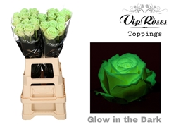 R Gr Glow In The Dark Premium X20