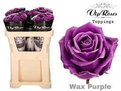 R Gr Wax Purple X30 998