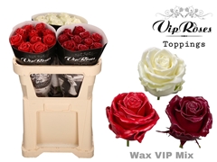 R Gr Wax Vip Mix X30 998