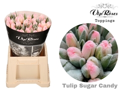 Tu En A Sugar Candy