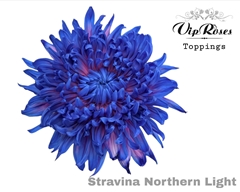 Chr G Stravina Northern Light