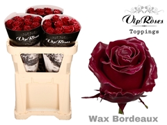 R Gr Wax Bordeaux X30 998