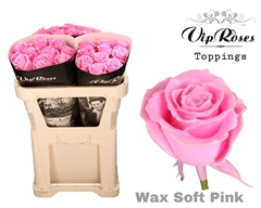 R Gr Wax Soft Pink X30 998