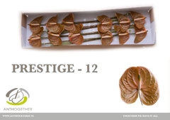 Anth A Prestige 13cm Ø