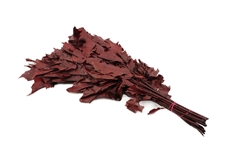 Querc Rubra Klb 21% 80cm