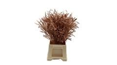 Dec Gr Kleurbe 21% 50cm