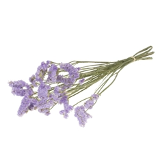 Dried Flowers 100 Gram 60cm