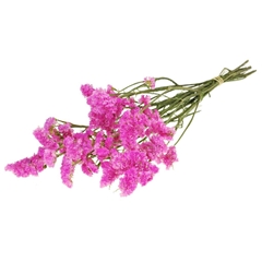Dried Flowers 100 Gram 60cm