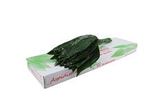 Aspidistra E Per Bunch 60cm