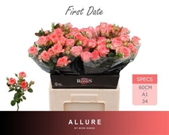 R Tr First Date 60cm 65+