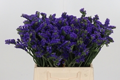 Lim S Cryst Dark Blu 40cm