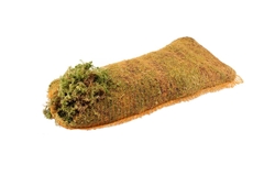 Sphagnum (VEENMOS)