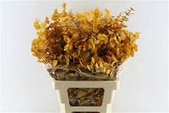 Eucalyp Klb Bs H% 70cm 200gram