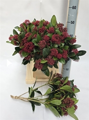 Skim J Rubella Bunch 45cm