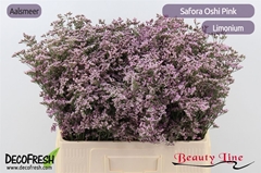 Lim Saf Oshi Pink 60cm 20gram