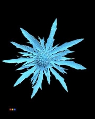 Eryngium Light Blue