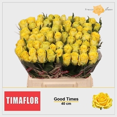R Gr Good Times 40cm